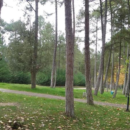 Camping Caravaning Cuenca Cuenca  Ngoại thất bức ảnh