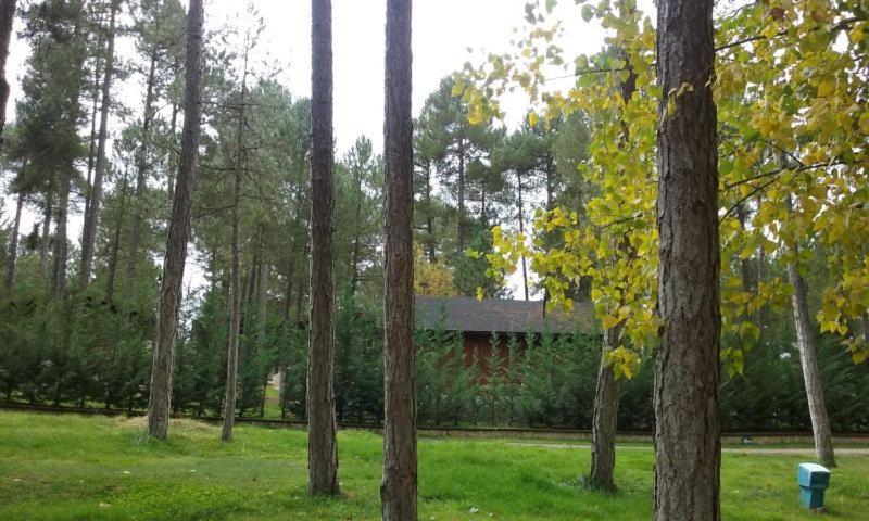 Camping Caravaning Cuenca Cuenca  Ngoại thất bức ảnh