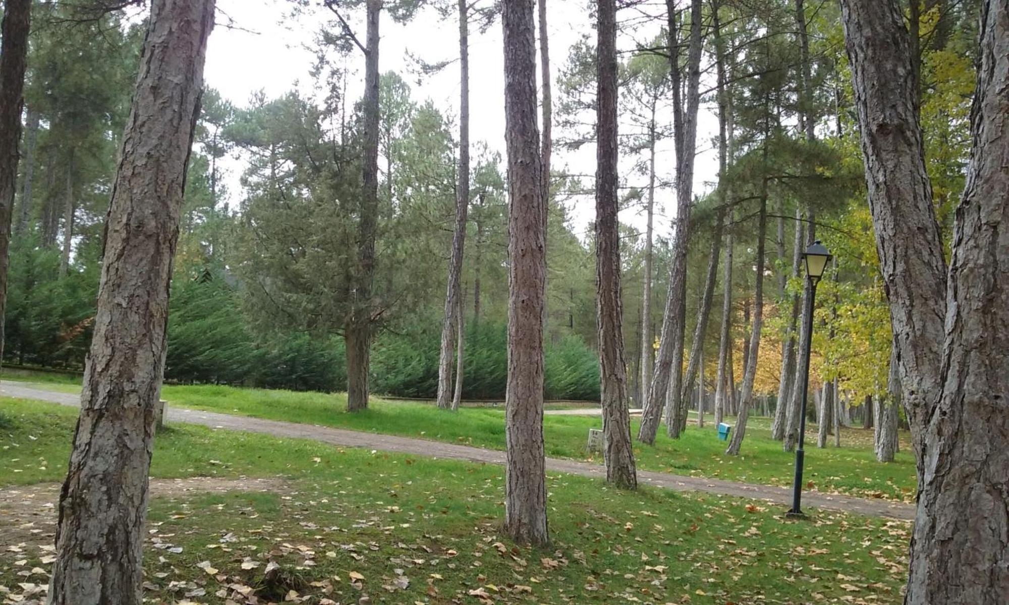 Camping Caravaning Cuenca Cuenca  Ngoại thất bức ảnh