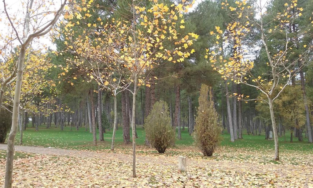 Camping Caravaning Cuenca Cuenca  Ngoại thất bức ảnh